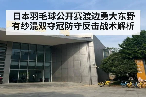 日本羽毛球公开赛渡边勇大东野有纱混双夺冠防守反击战术解析 - jiuyou game