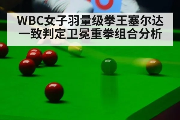 WBC女子羽量级拳王塞尔达一致判定卫冕重拳组合分析 - jiuyou game